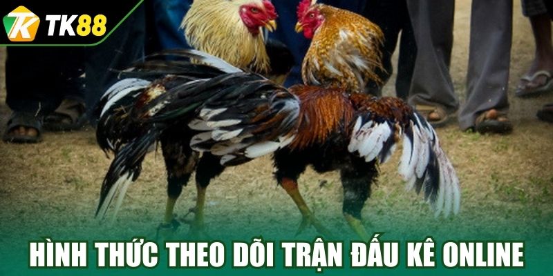 Hình thức theo dõi trận đấu kê online