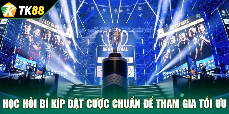Học hỏi bí kíp đặt cược chuẩn để tham gia tối ưu 