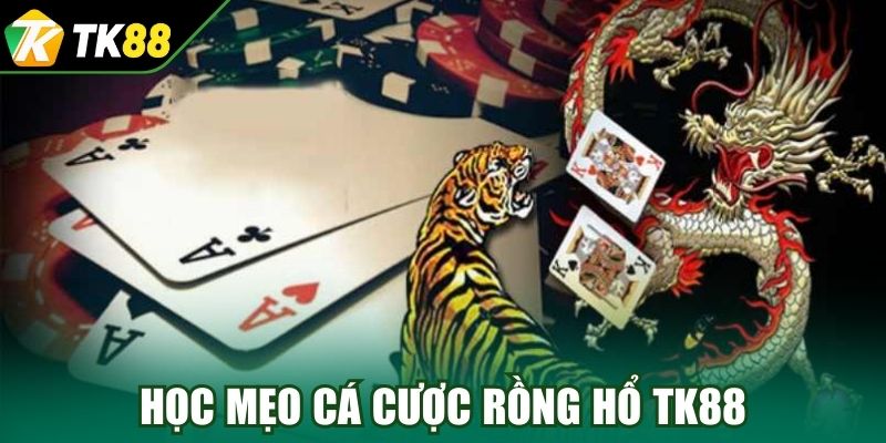 Học mẹo cá cược Rồng Hổ TK88 chuẩn xác 
