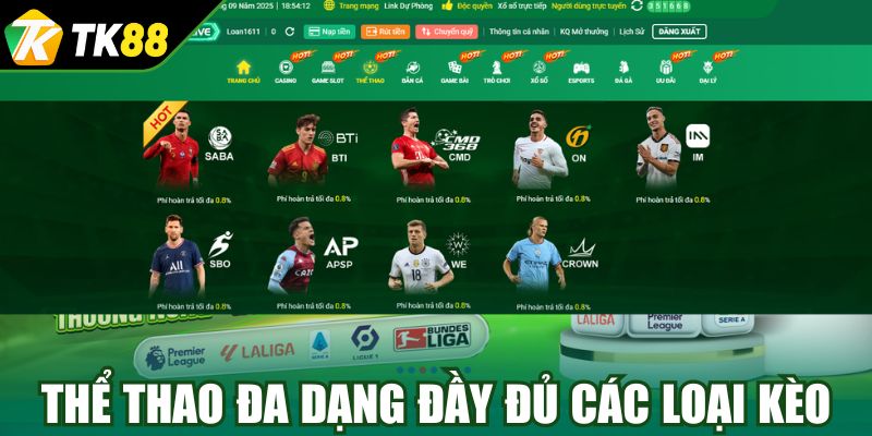 Thể thao cuồng nhiệt đầy đủ các loại kèo